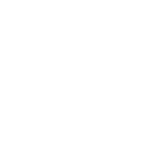 Coach icon