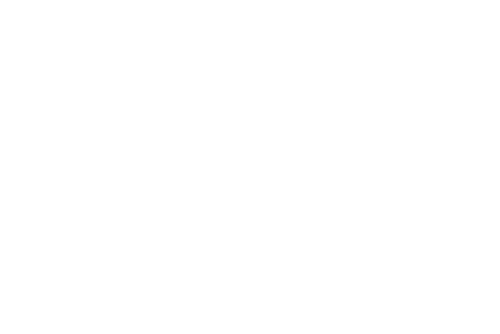Observer icon
